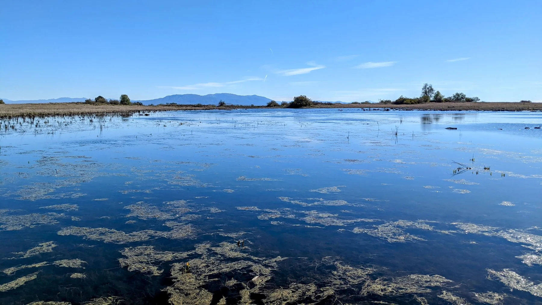 Vernal pools at the Santa Rosa Plateau with mountains in the distance.